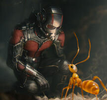 ~Ant Man